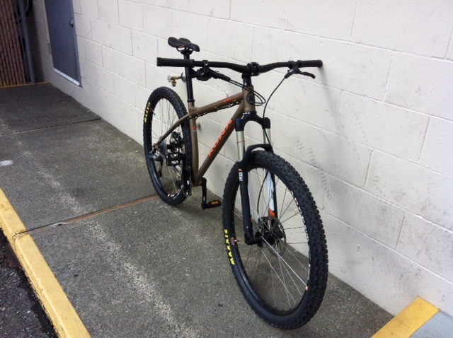 pearl izumi bib shorts