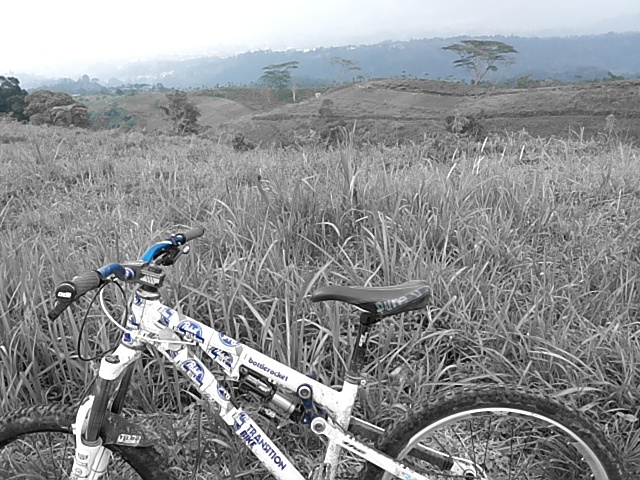 My bike with a view from the top of the track.
From here its a long way down.
And I mean really flowy long single track :)