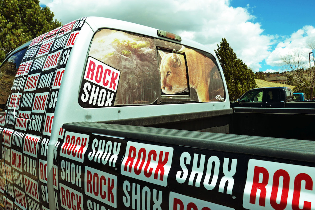 They re really passionate about the company they work for and some of them really like cougars.