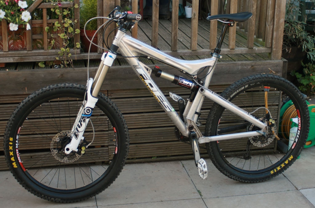 steed