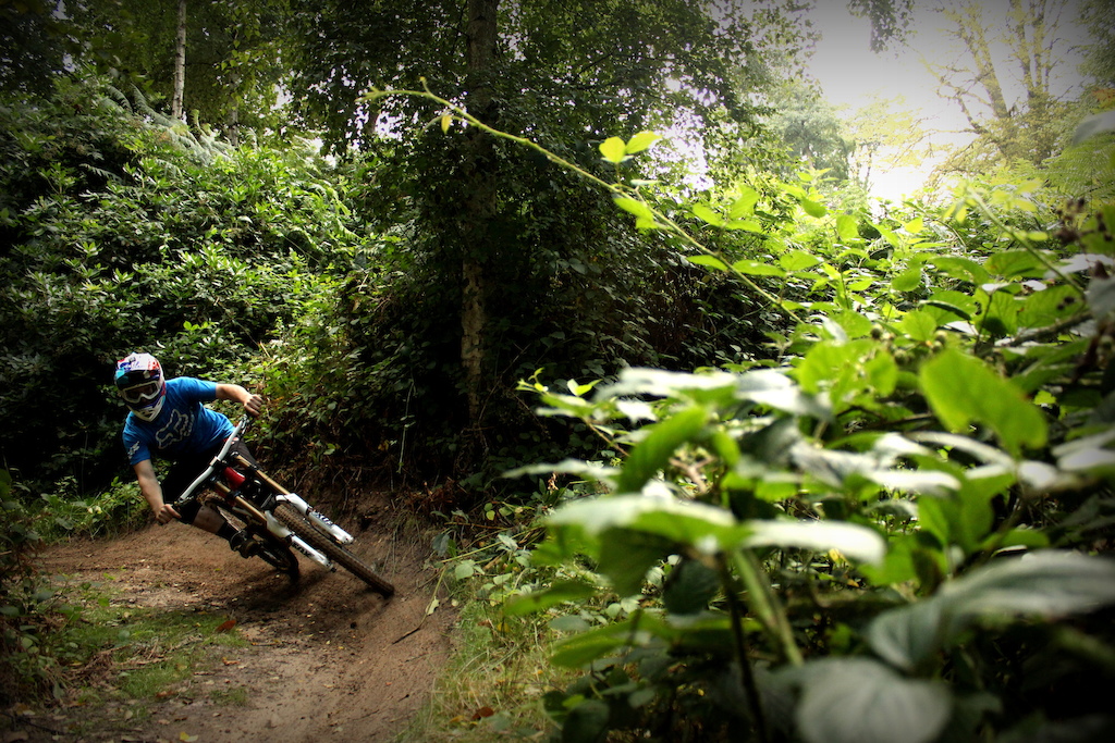 berm shredding