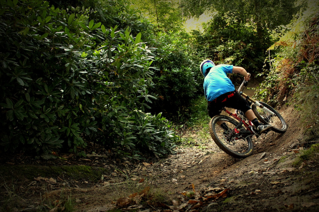 berm shredding