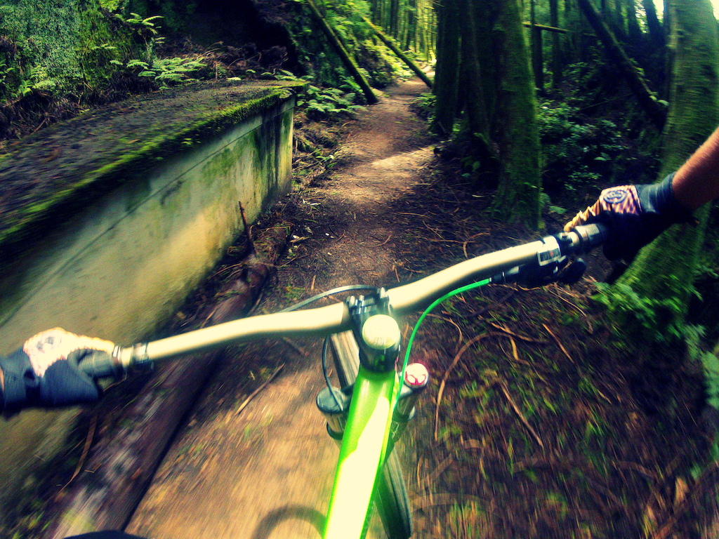 birthday fun ride