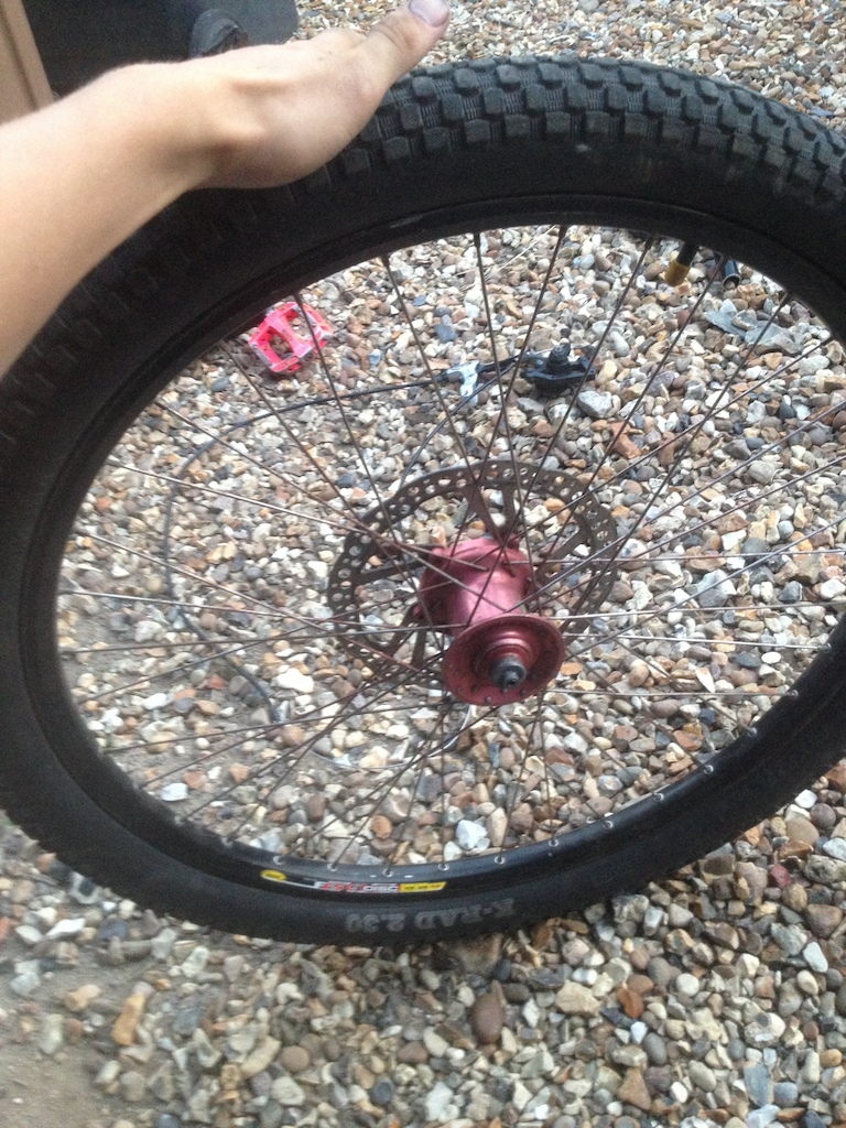 Hope bigun hub pn mavic f219 disc rims