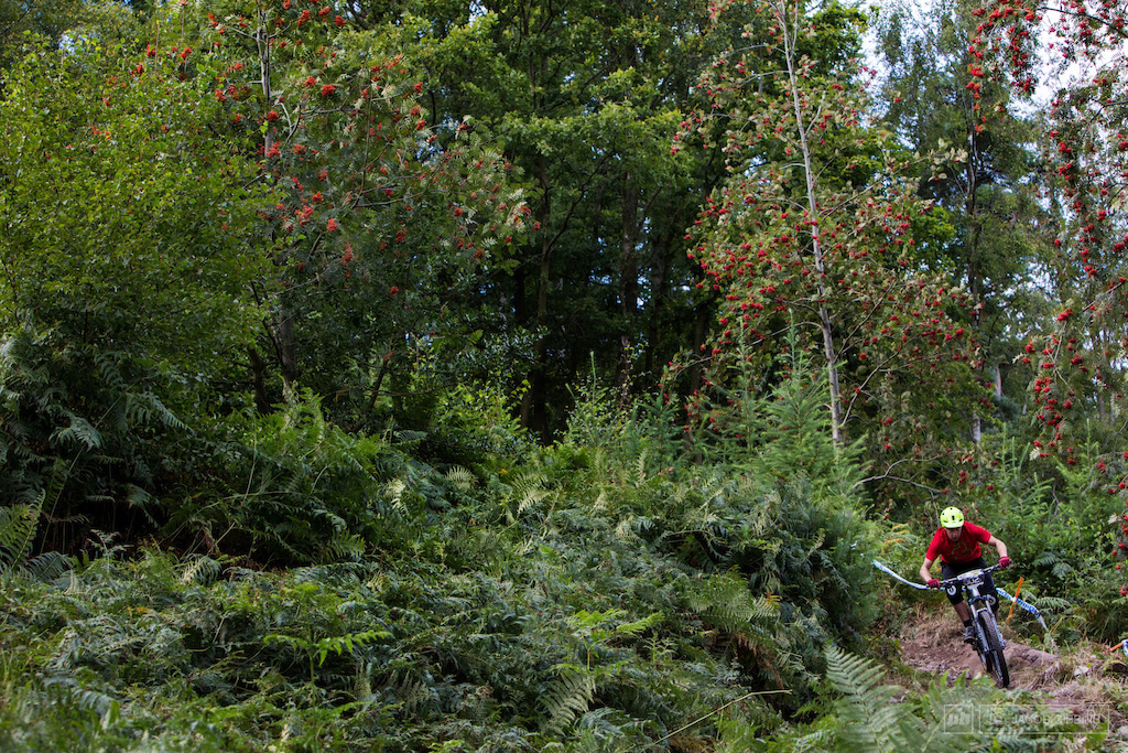 Lots of nice red berry trees all over the hill made for some nice colour. The racing here was tight with close times.