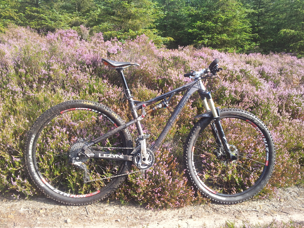 Transition Bandit 29
