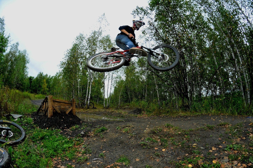 Whip !