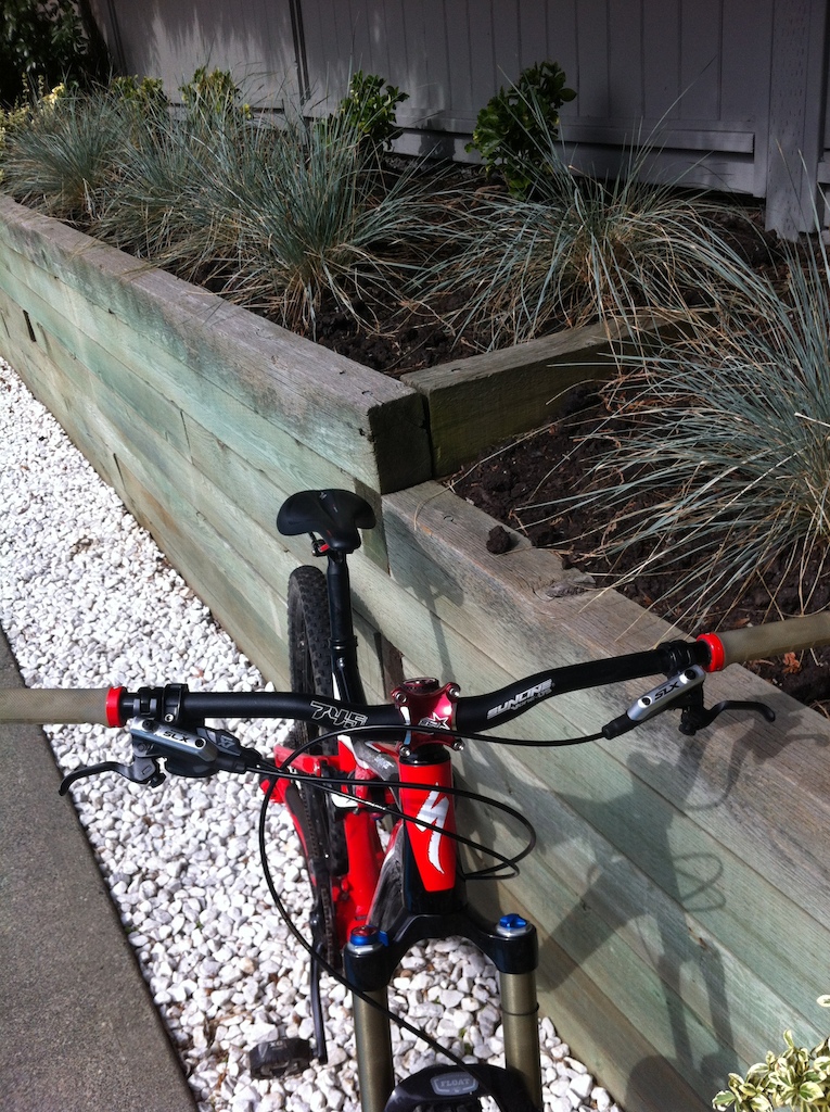 specialized