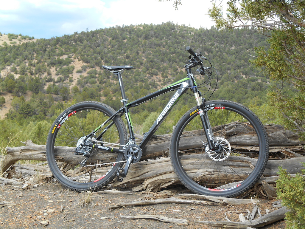 airborne goblin 29er review