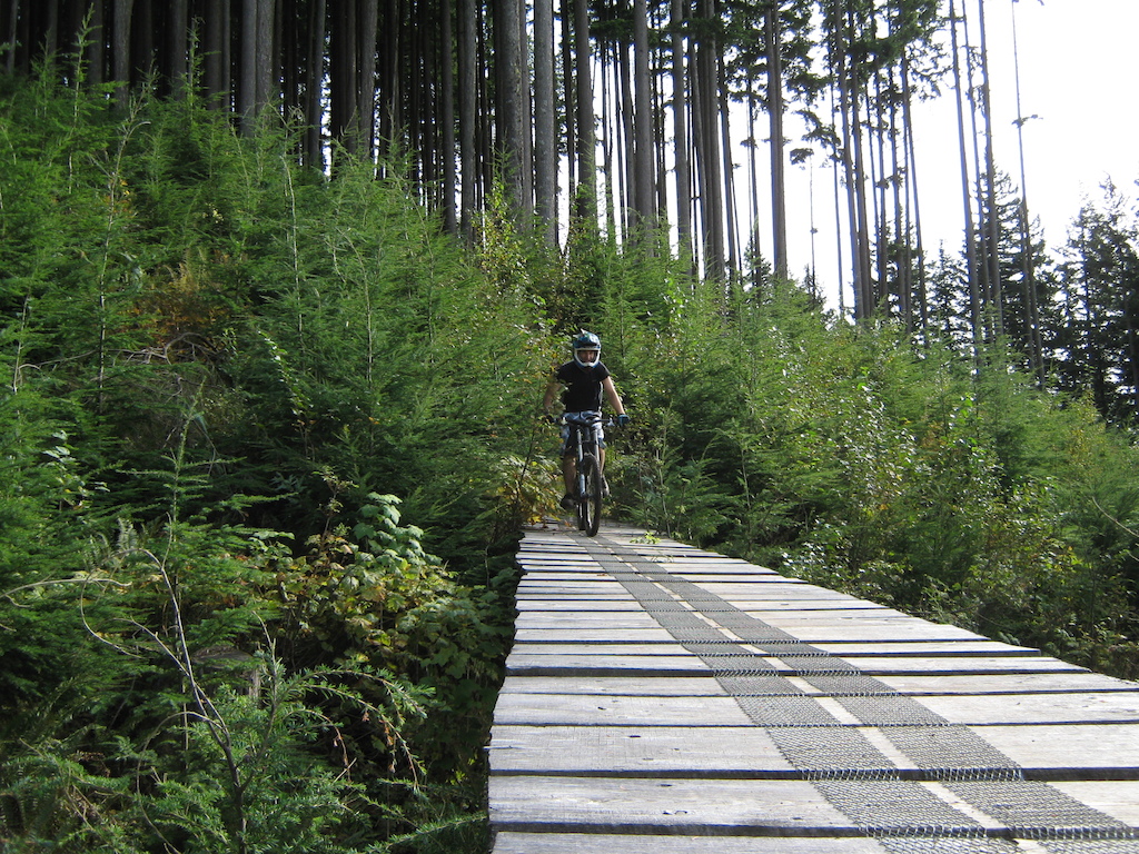Riding the bridge out of the woods into the clearing over the ravine
