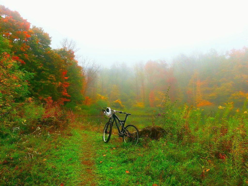 Took this photo while i was doing the pre ride for the enduro contest but ended up with a flat tire but still had so much fun walking around and pushing my bike for 4 hours. The view was just amazing! Fall season!