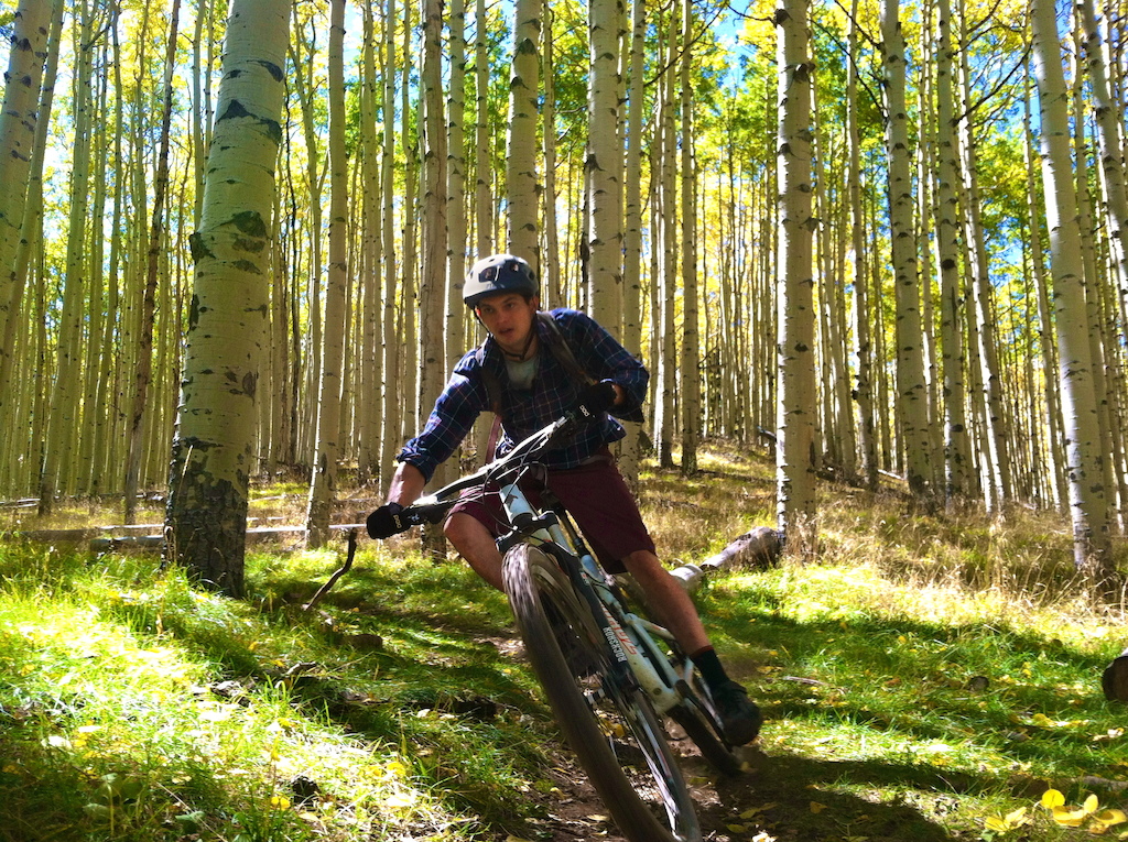 Railing some corners in the most extraordinary aspen stand on the planet. It's like a dream, and no photo can ever capture it.