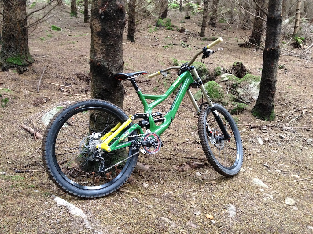 Specialized Demo 8 Custom paint