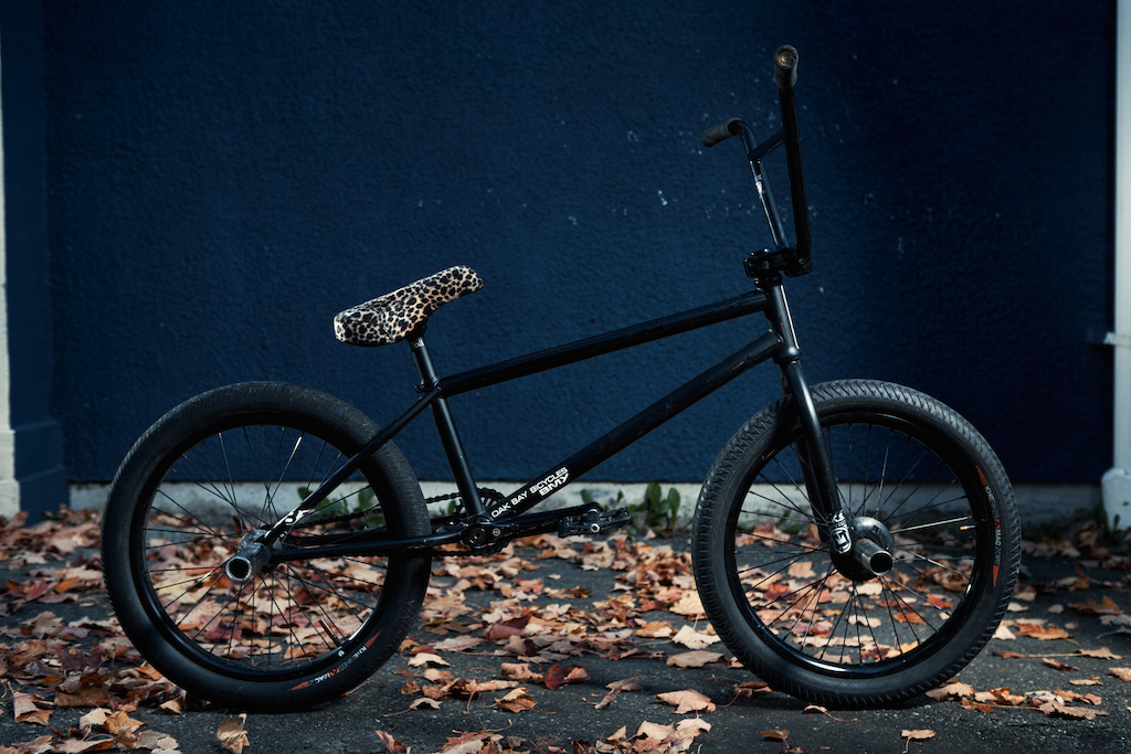 My calico.
I got a Bonedeth saddle. Wheeee