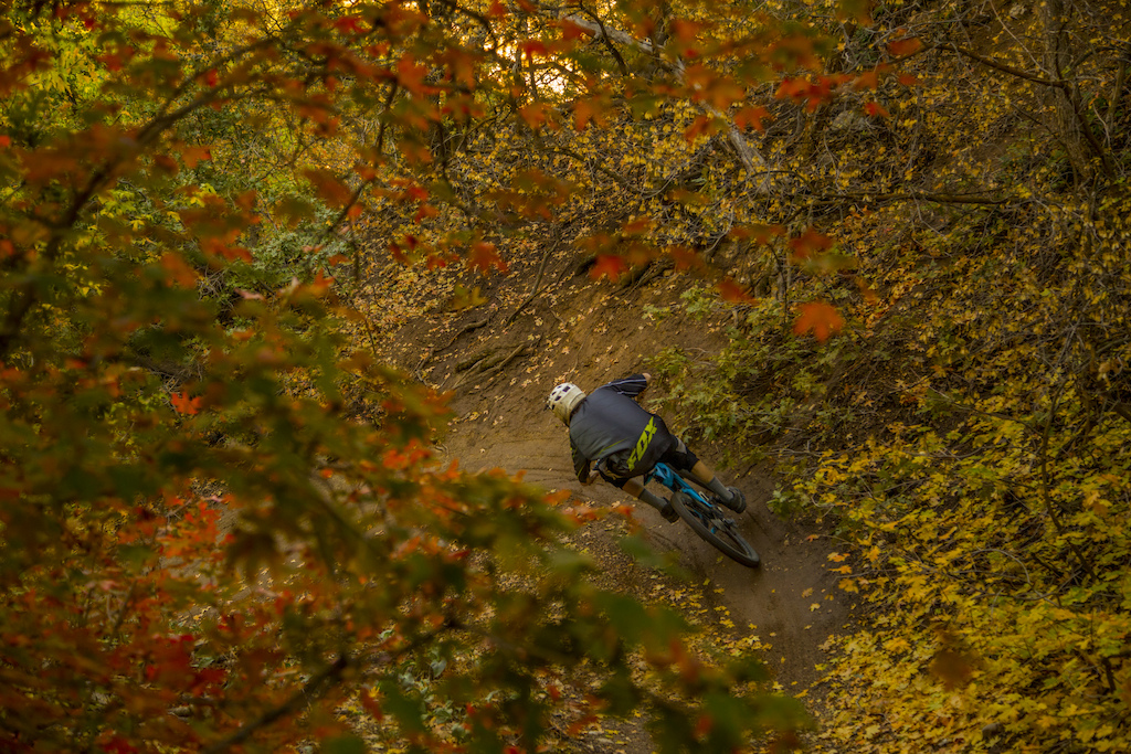 Riding Bobsled in the Fall. Photo : Brad Pearson