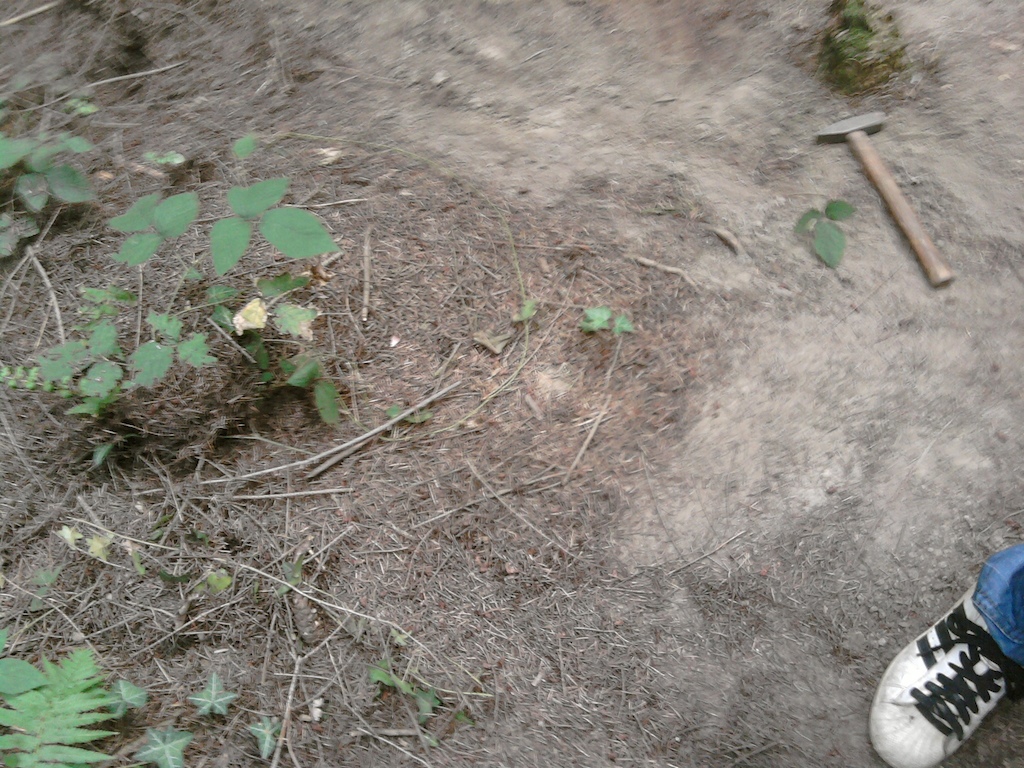 building the trail step by step :D