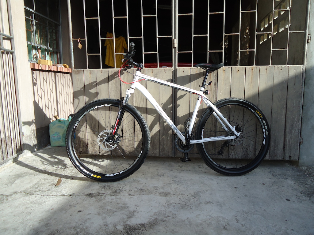Raleigh Talus 29er