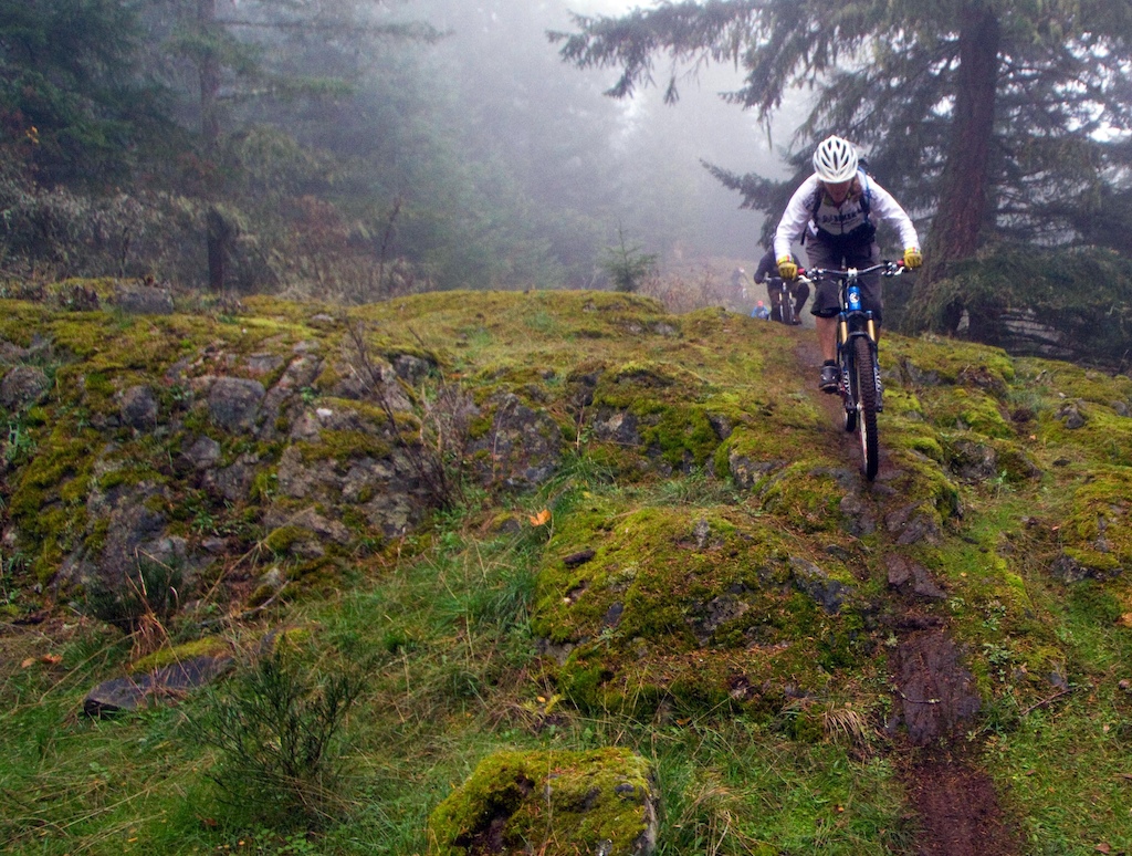at Maple Syrup in Duncan, British Columbia, Canada photo by leelau Pinkbike