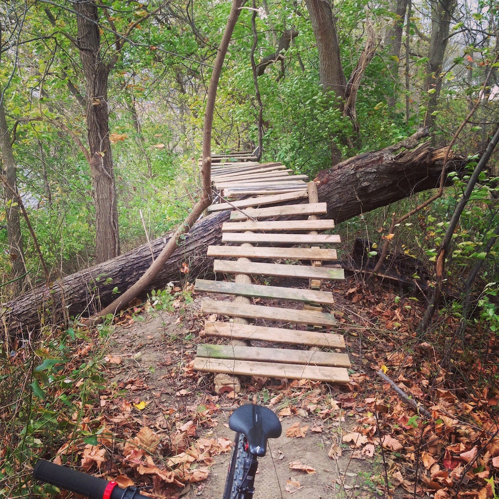 Just another big catwalk at our trails me and the boys made!!
