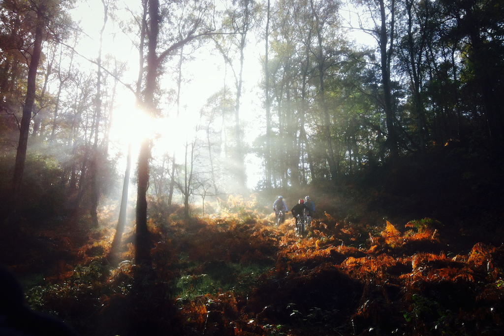 at Bois des Rêves in Louvain la Neuve, Belgium - photo by bortels ...