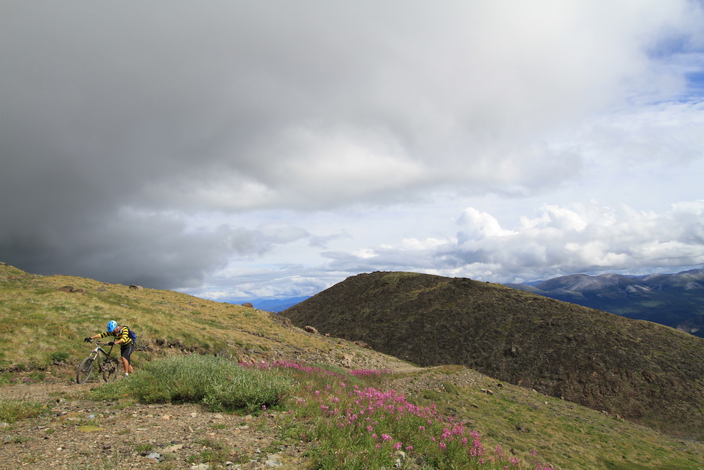 August 2013 Yukon Trip - Mountain Hero Trail near Carcross. There was a little uphill pushing required for a few of us.