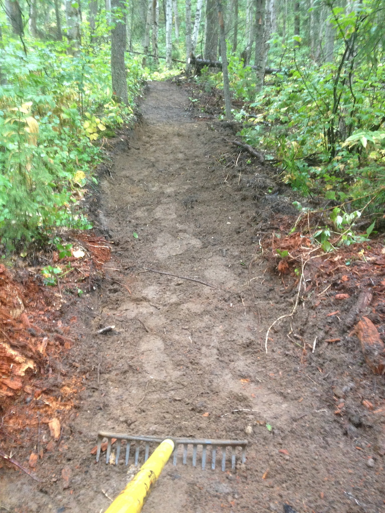 the new access trail to the Pidherney trail network