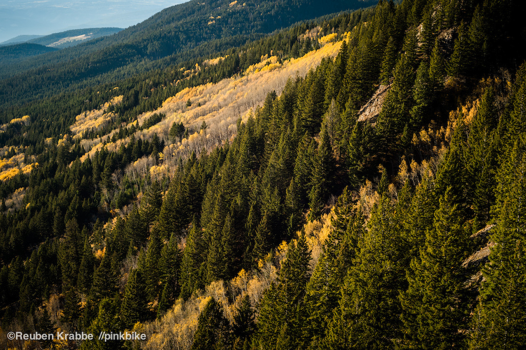 Heffley Creek Scenery