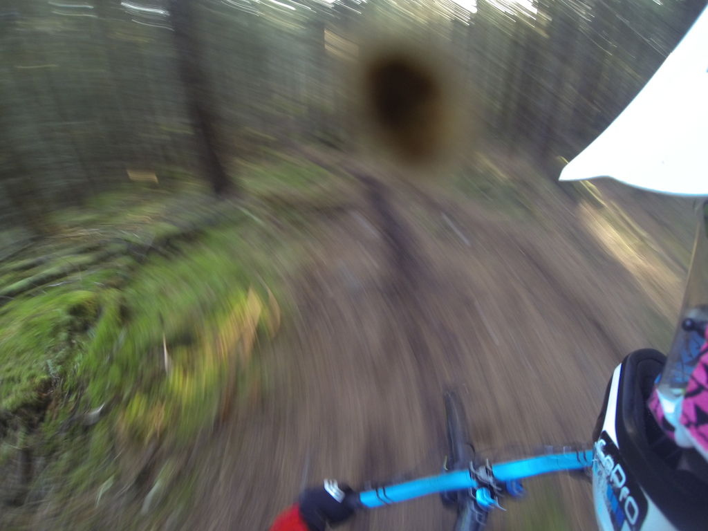 Some cool pictures I took while testing out my new bike pity about the spec of mud tho