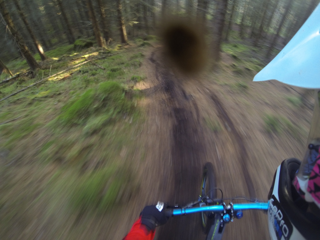 Some cool pictures I took while testing out my new bike pity about the spec of mud tho