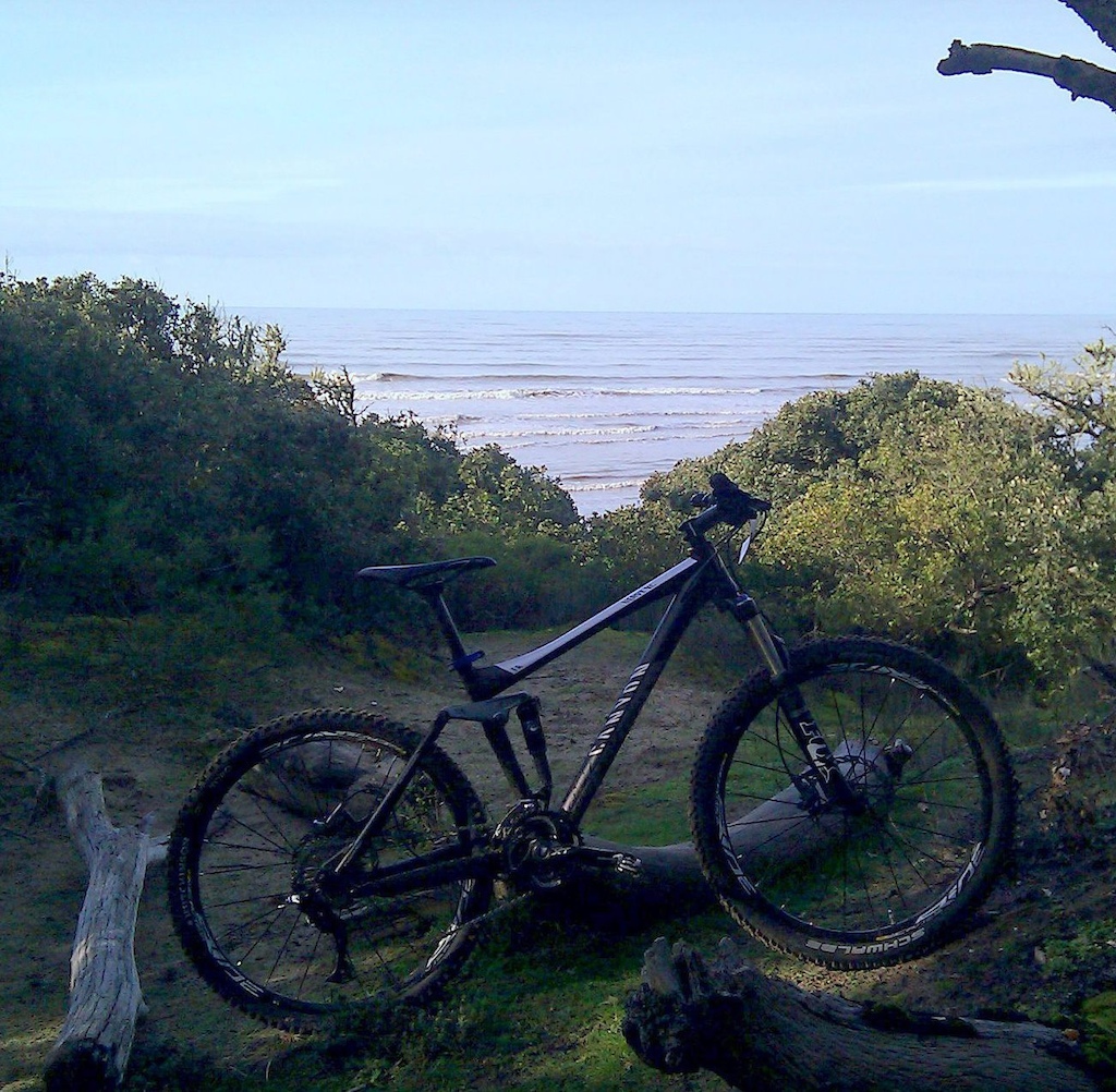 Canyon Nerve xc 7