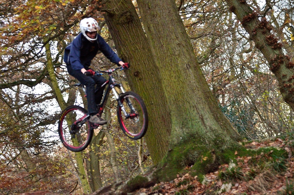 Swithland woods in leicestershire on a commencal meta 6