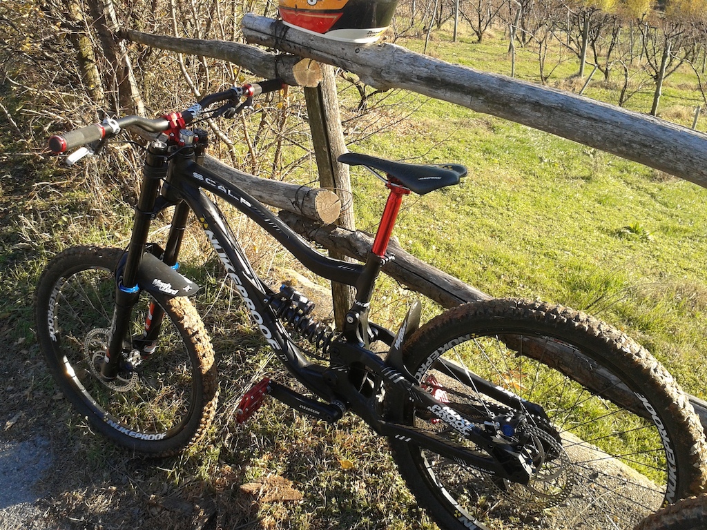 do you like my bike?