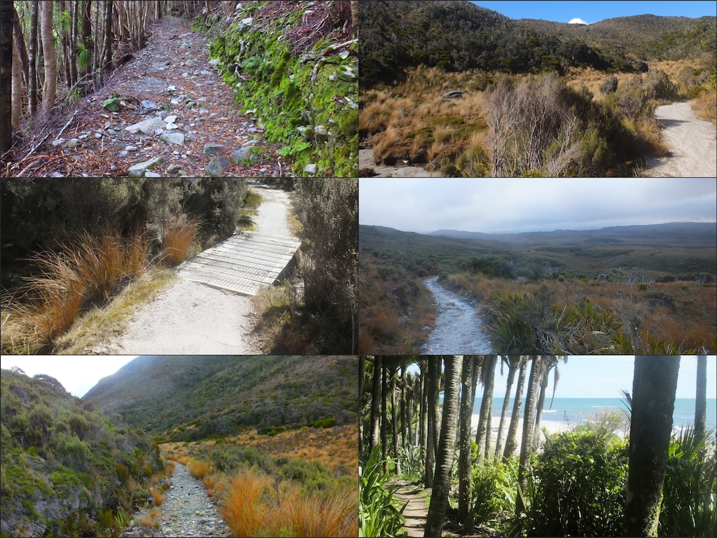 There are 4 completely different ecosystems within the 80km of the Heaphy Track