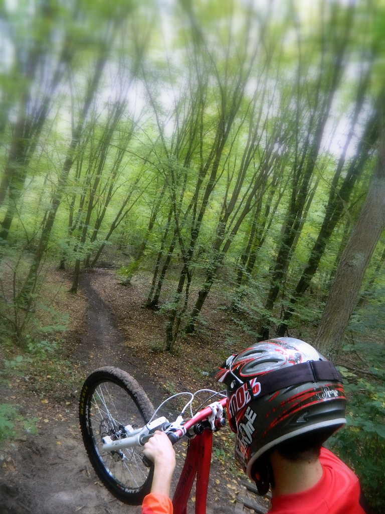 Flying through the trees!