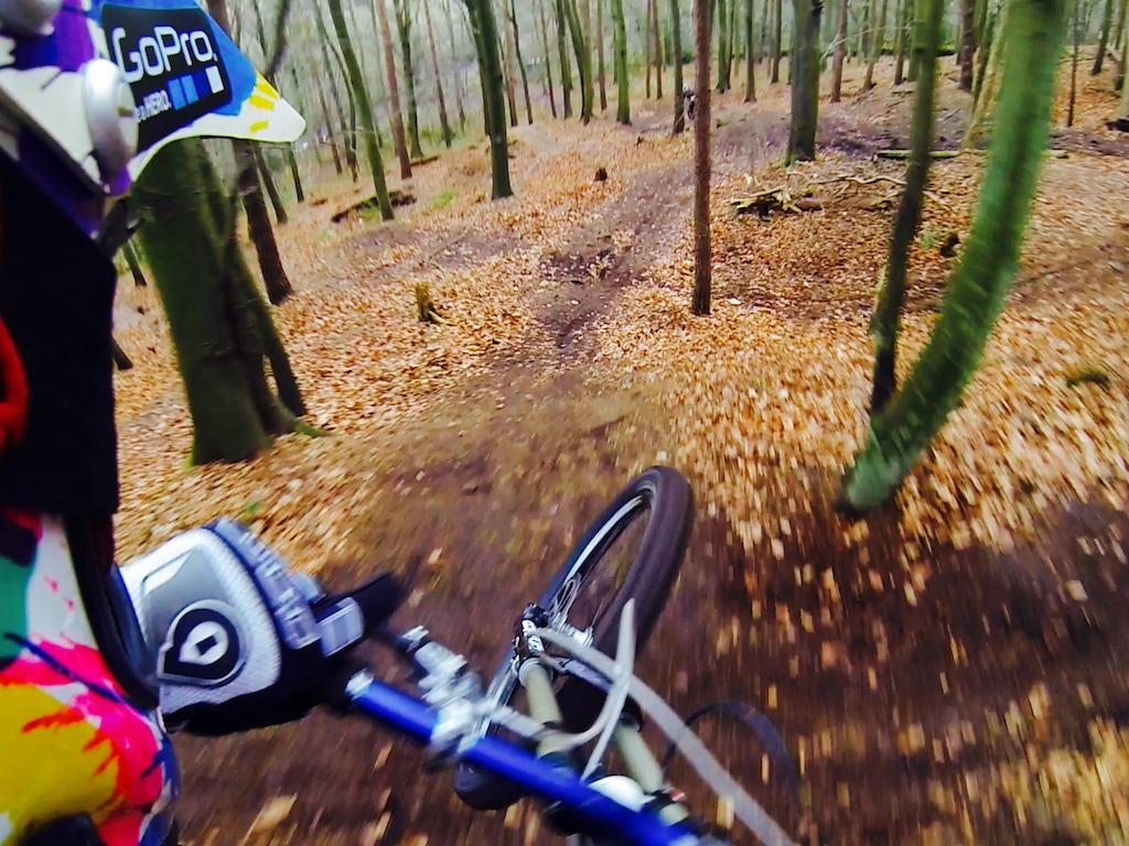 Playing on the local trail. 

Taken from video footage off a gopro 3 black and then screen captured with an I phone.