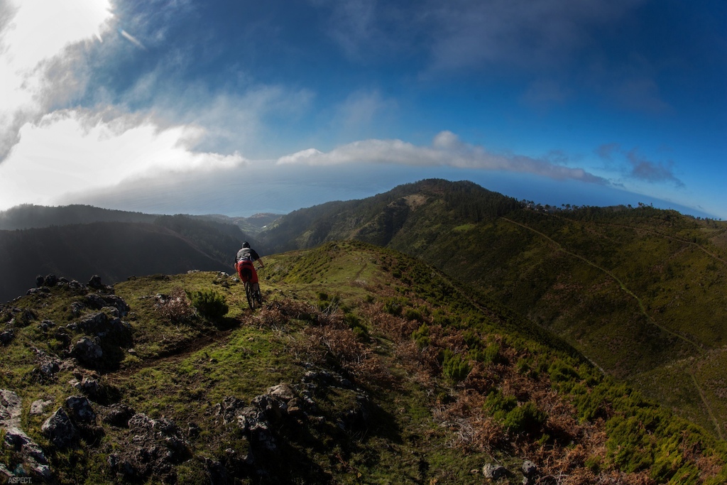 Freeride Madeira