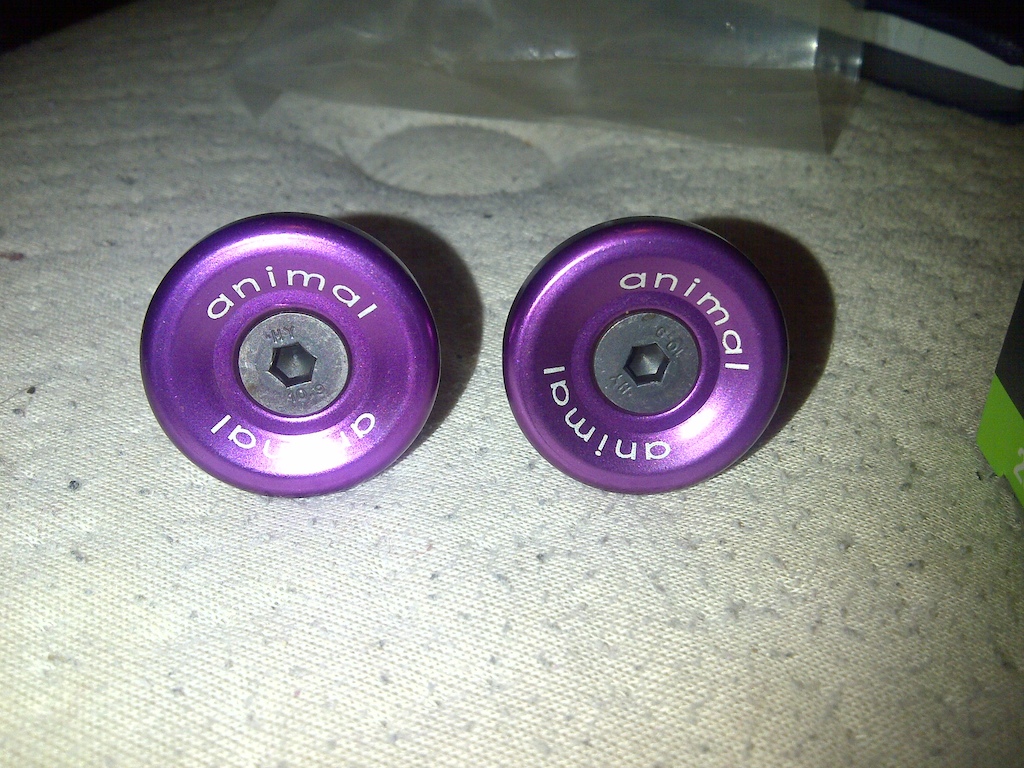 New Barends