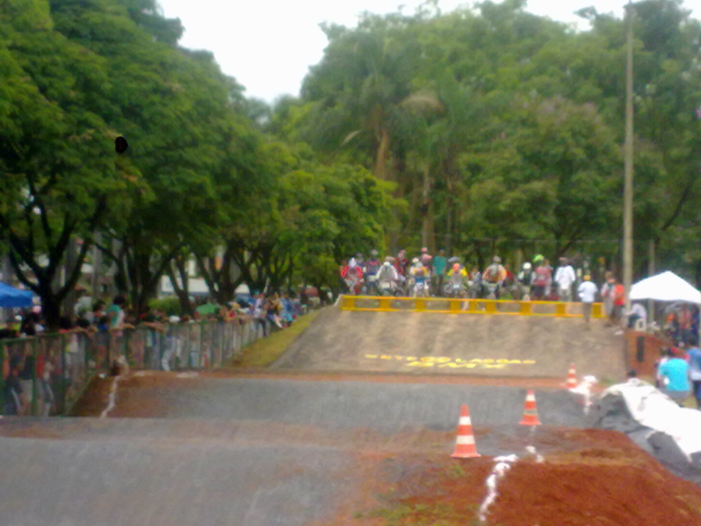 Campeonato Mineiro