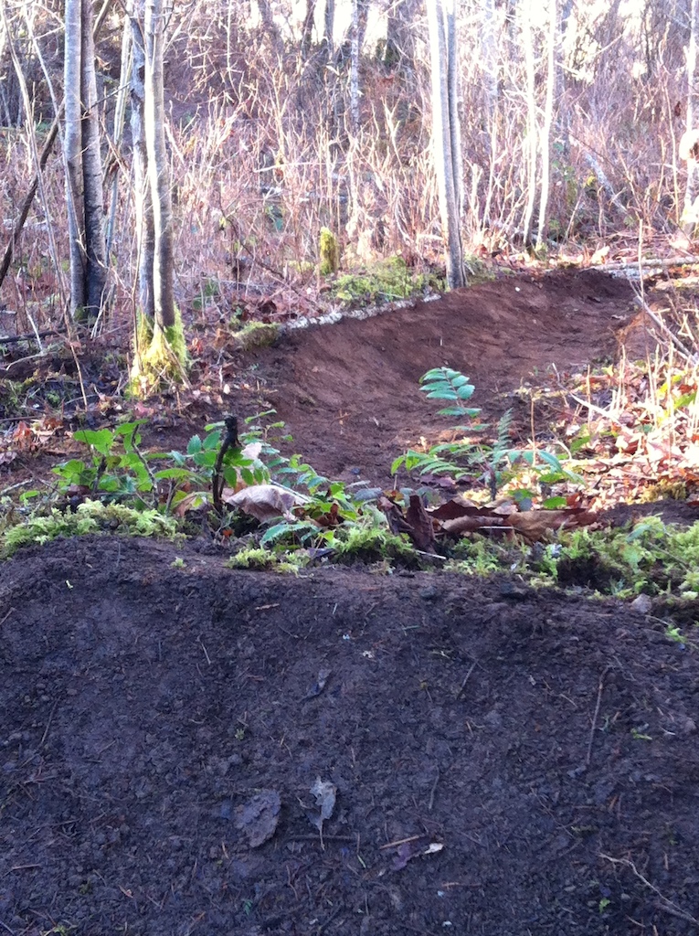 digging and building a few different jumps in nanaimo