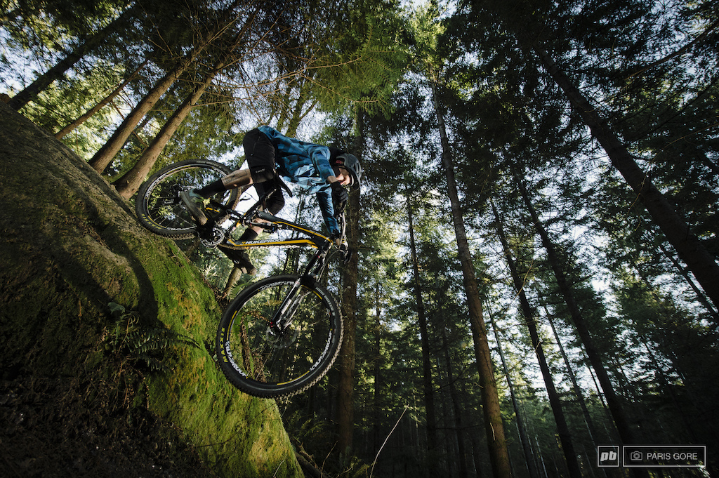 KIT Di Cuscinetti Per NUKEPROOF MEGA/MEGAWATT 275 290 297 CF/AL CF/AL - Foto 6