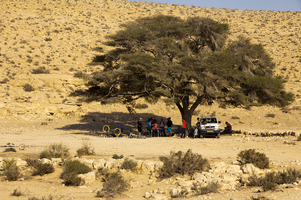 Our friends at the Geofun Centre site this tree along the Halukim trail as "the famous acacia tree of “Nahal Etz” (Noked wadi), this ancient tree’s age is unknown, but it is marked on old maps drawn by the British at the beginning the previous century." It's also a great spot for dates and beer. Mike Hopkins photo.