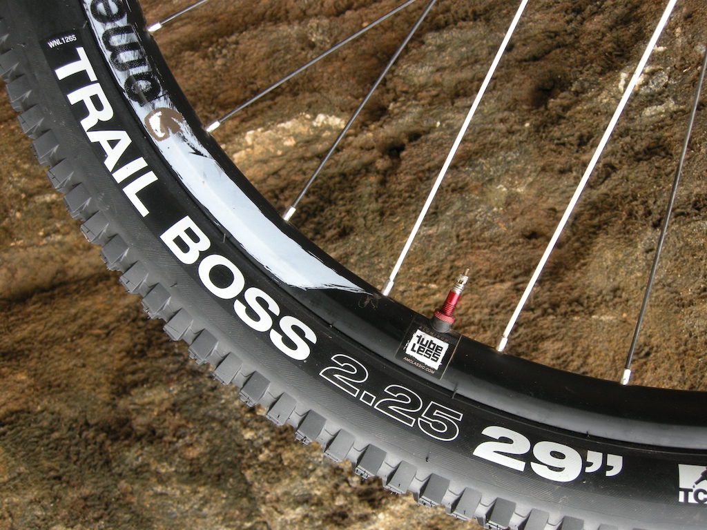 WTB Trail Boss TCS 2.25 tire first look 2014