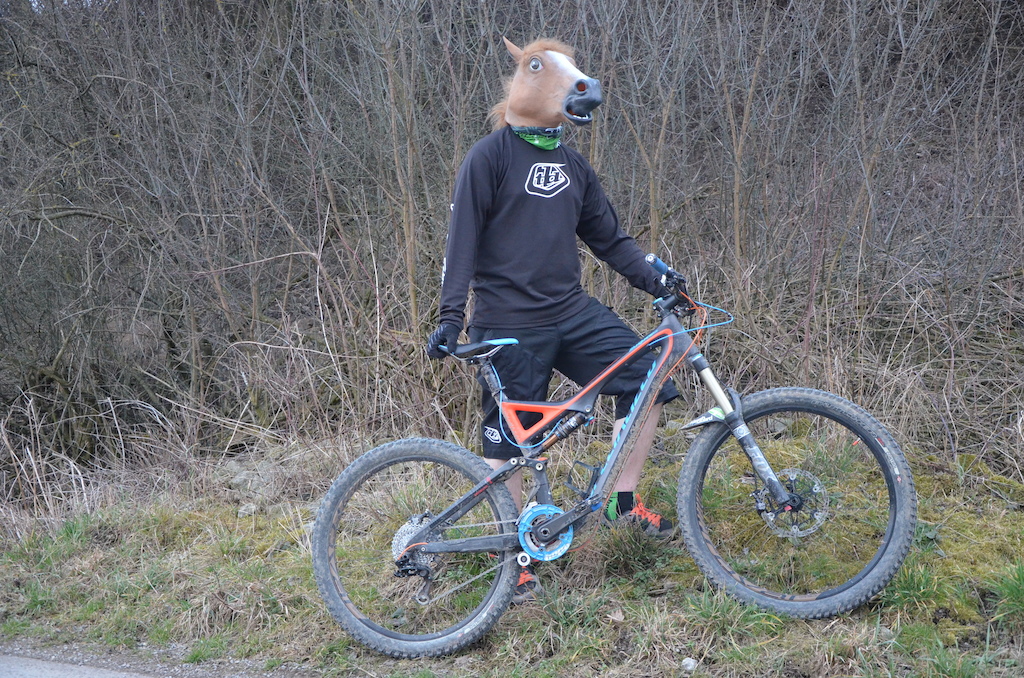 Look at this horse, this horse is amazing, it shred's the bike, like whaaat.