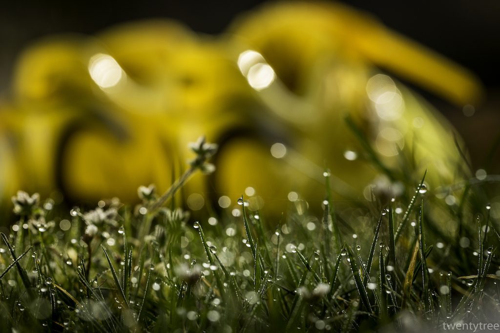 Spring