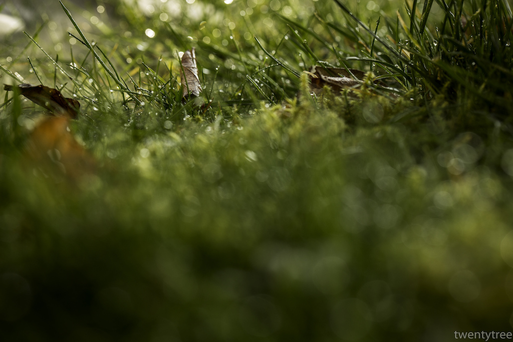 Spring