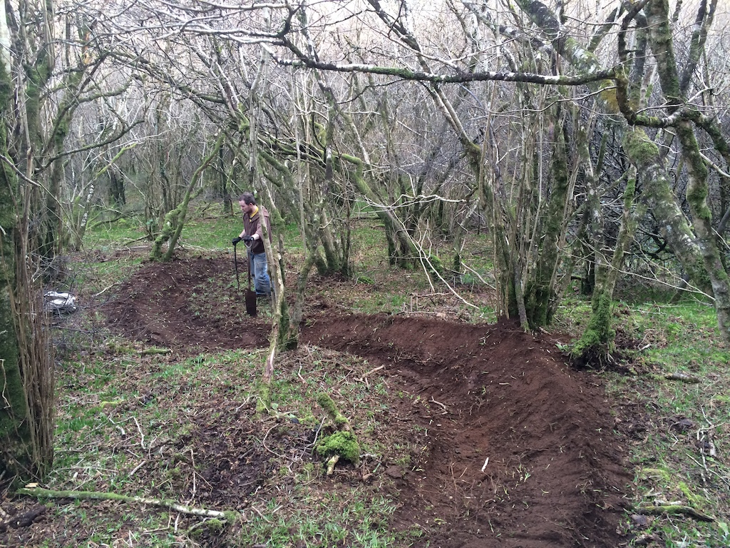 Latest trail sections for new trail started on feb 28th, trying to get this 3rd trail ready for the summer