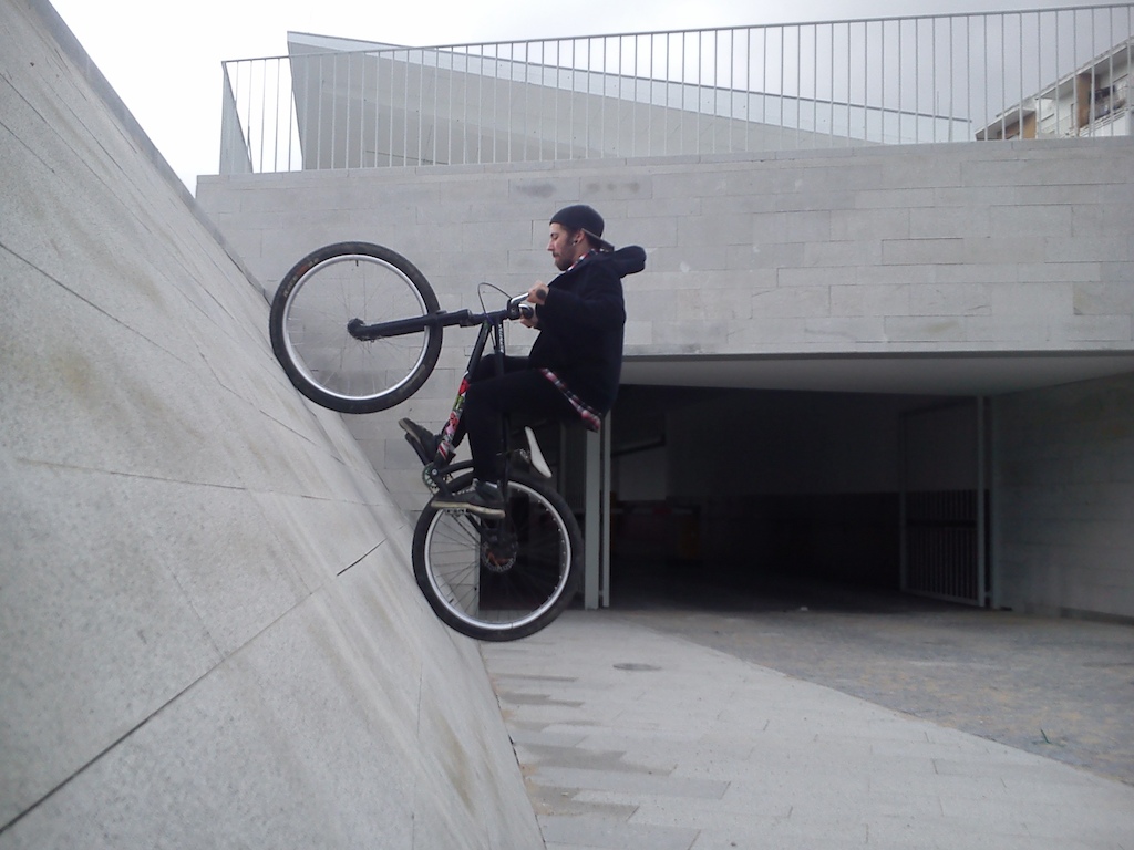 wallplant