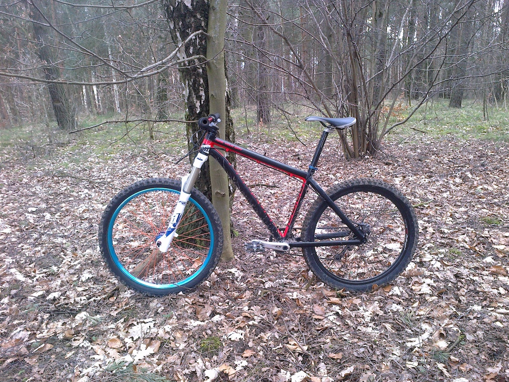 primal bike