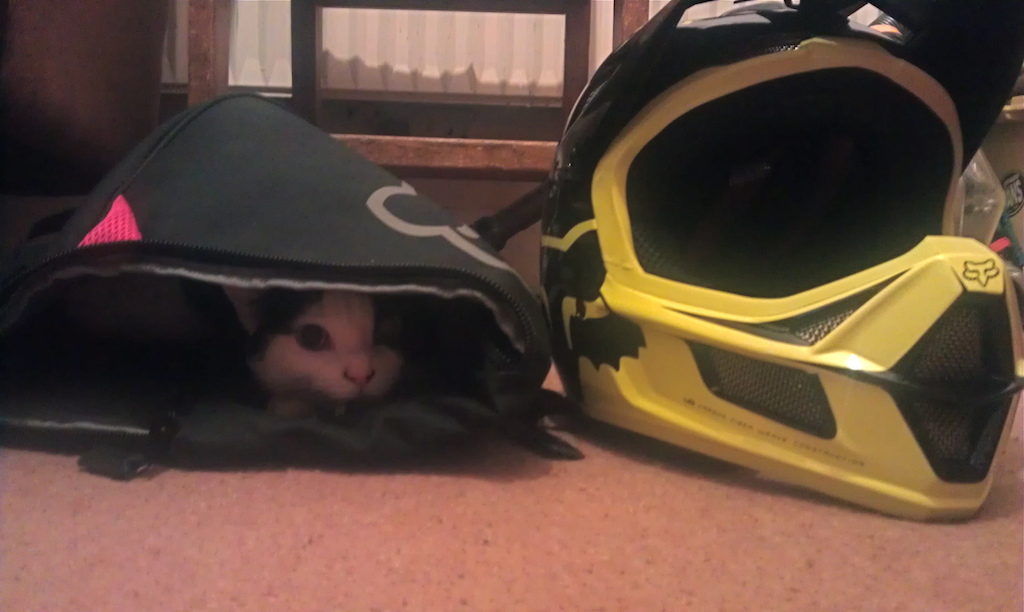 The 2014 fox helmets come with a handy cat storage bag.