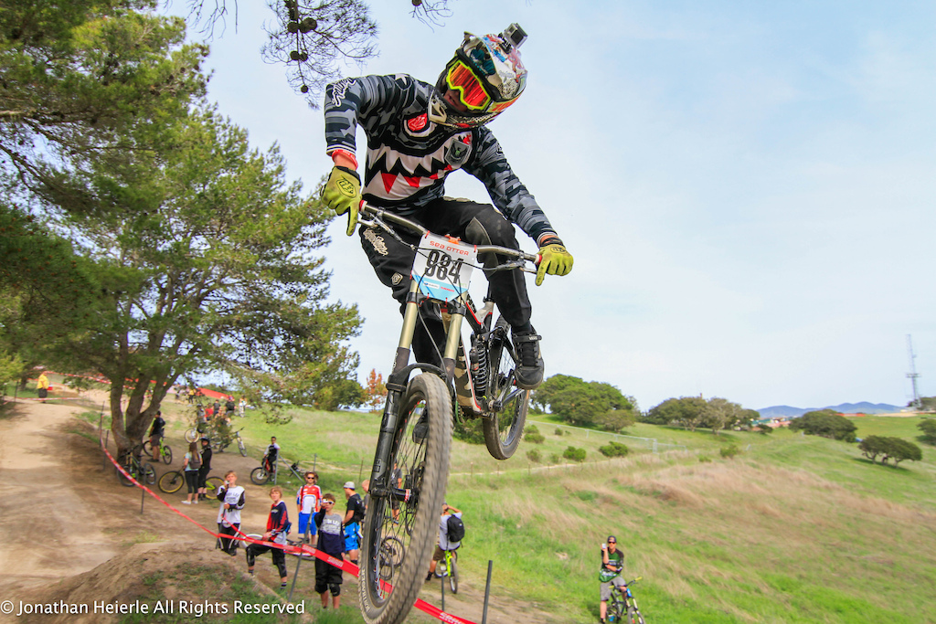 pinners at sea otter!